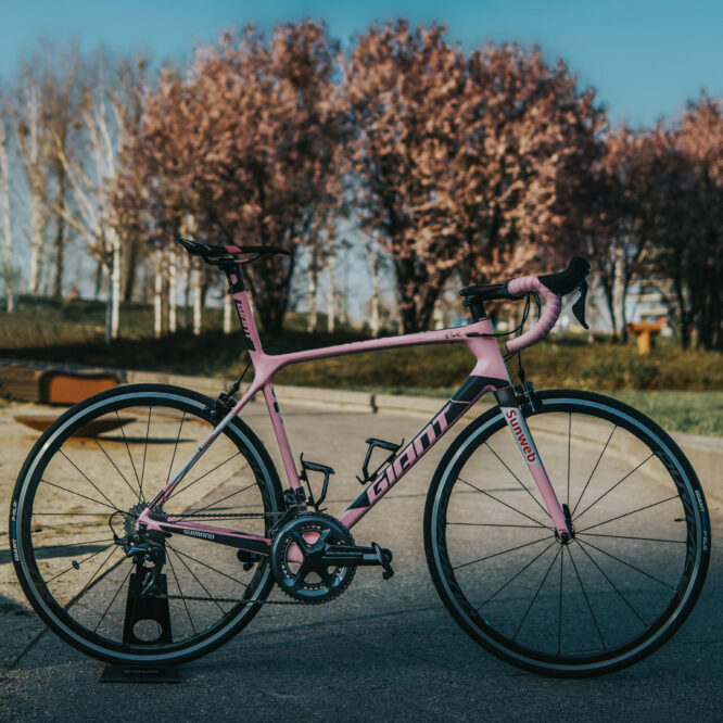 Maglia Rosa